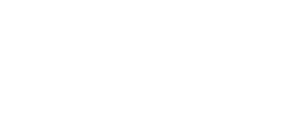 American-Outdoor-Light-Logo-copy-1-308w